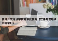 软件开发培训学校哪家比较好（软件开发培训班哪家好）